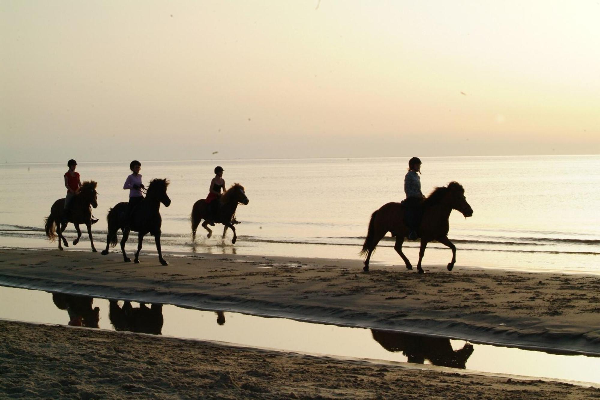 Nordkap Farm Holiday & Hostel Bindslev المظهر الخارجي الصورة