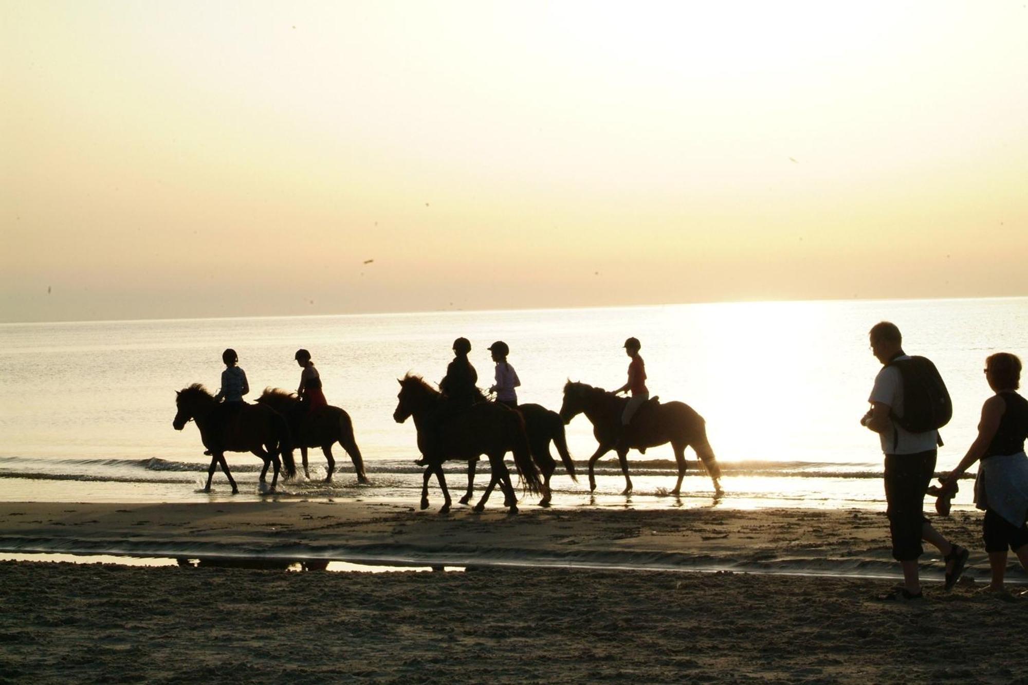 Nordkap Farm Holiday & Hostel Bindslev المظهر الخارجي الصورة
