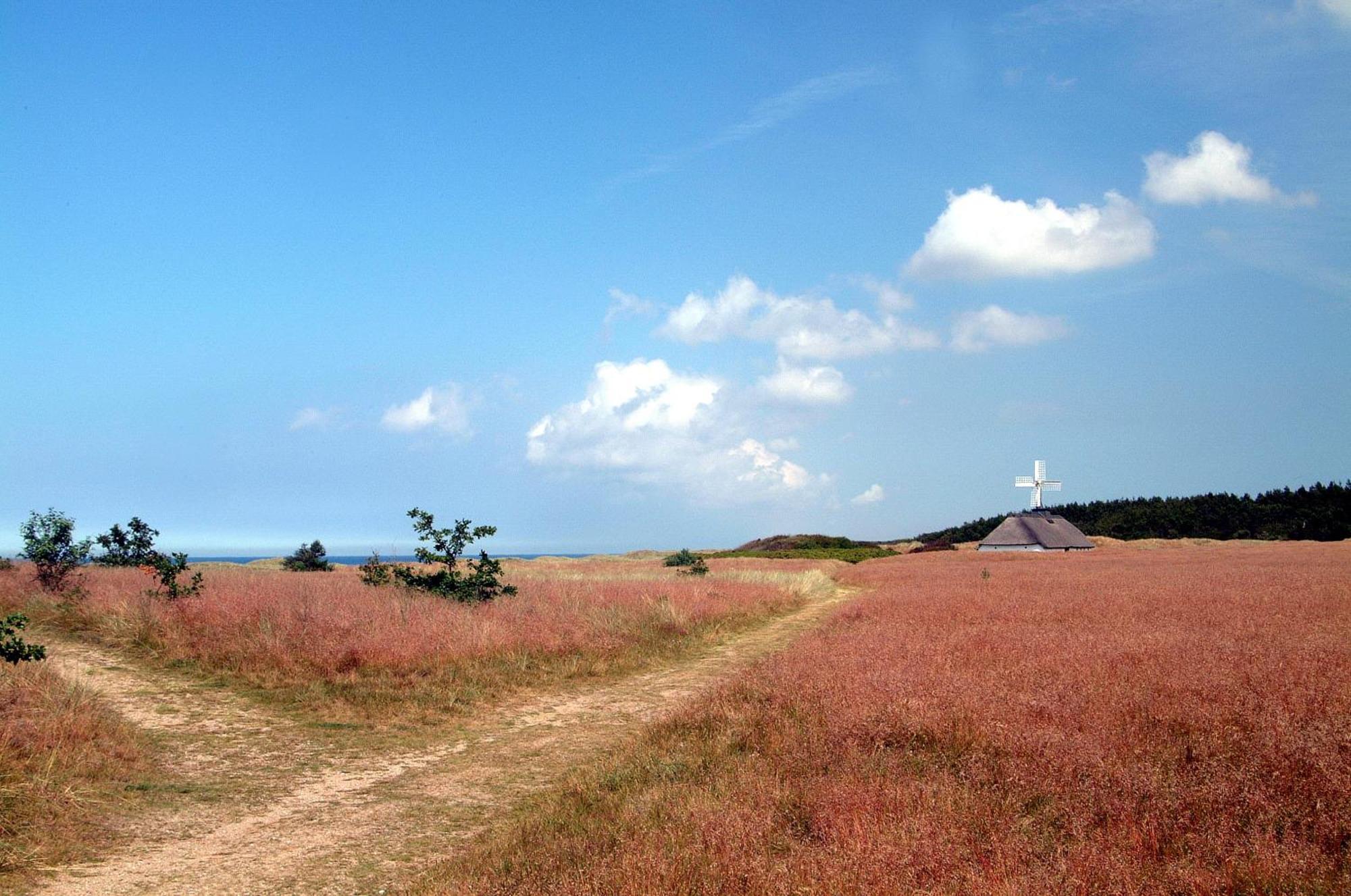 Nordkap Farm Holiday & Hostel Bindslev المظهر الخارجي الصورة